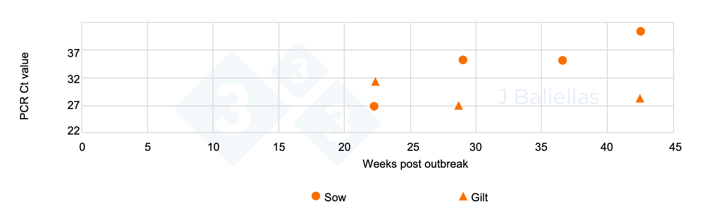 Evolution of PCR Ct values from stillborn tongue samples from piglets from primiparous and multiparous sows in the weeks following a PRRS outbreak.